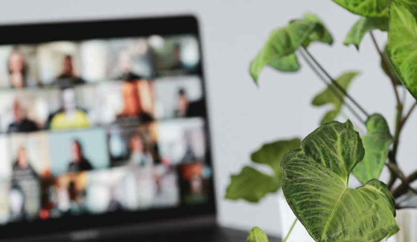 Photo of laptop with video call and a plant in foreground