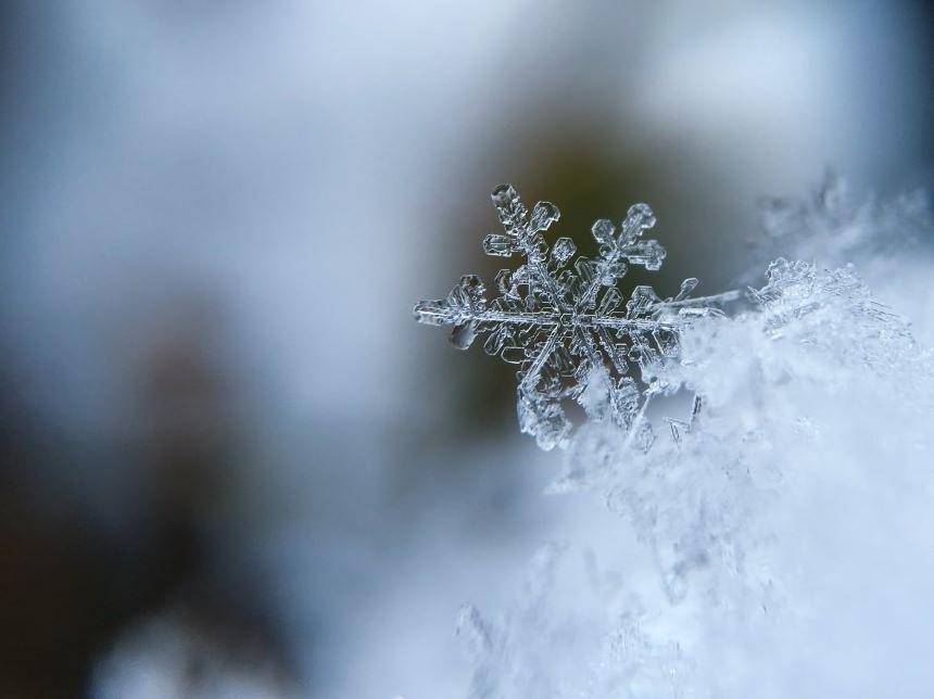 Snowflake on pile of snow