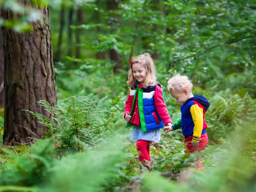 Children hiking in the woods.