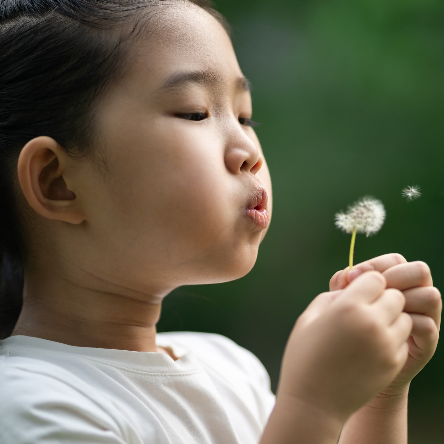 Young girl blowing on a dandelion.