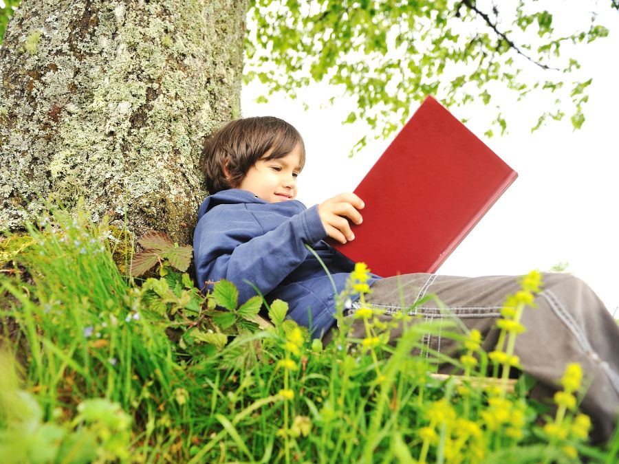 Young kid reading a red book leaning against a tree.