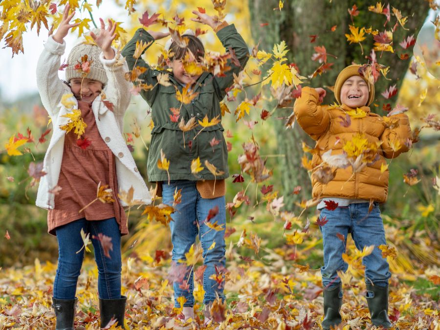 Three youths playing in a pile of leaves.