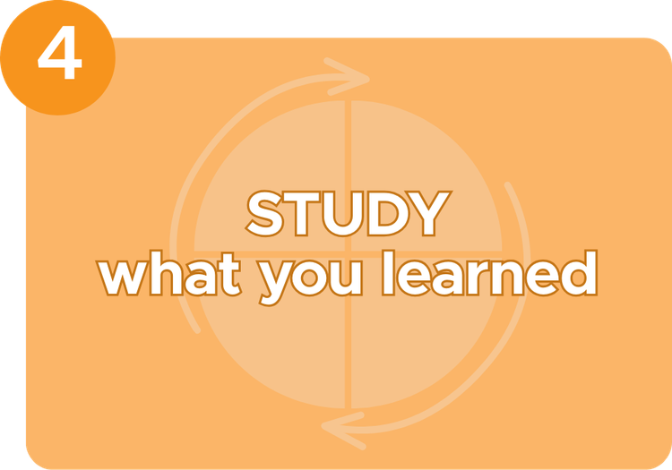 Text with "Study what you learned"